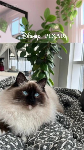 Create a Disney Film Featuring Ragdoll Kittens