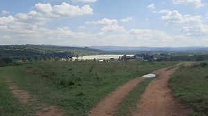 Pearl Flowers in Rubaare Ntungamo Uganda