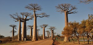 A map that fills a 500-million year gap in Earth’s history