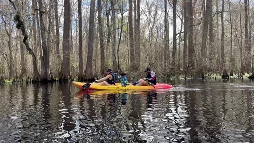 Florida is a playground for anyone who loves sunsets, beaches, crystal-clear springs, hiking trails, wildlife encounters, and epic coastal adventures. From the white sands of the Gulf Coast to the hidden gems deep inside Florida’s state parks, every weekend becomes an excuse to explore something wild, beautiful, and unforgettable. Whether you're chasing dolphins, kayaking mangroves, swimming in natural springs, or taking a road trip to a new beach town, Florida outdoors hits different — the colo