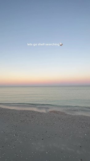 Shell Hunting Adventures on Florida's Beaches
