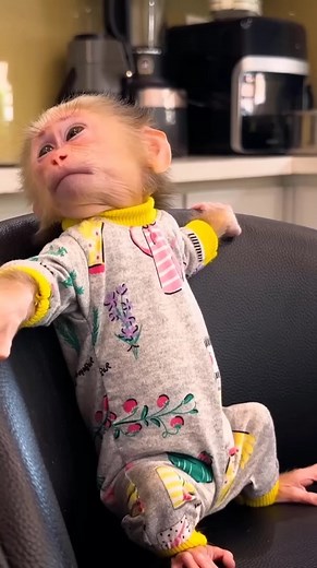 197K views · 3.1K reactions | Hey everyone! 殺 Lala’s tummy is rumbling—time for a snack!  Watch her adorable 'feed me' face in action! | Bibi Jumps | Facebook