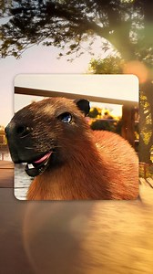 PARC Autódromo | A reta final para o lançamento do PARC Autódromo já começou, e as capivaras não perderam tempo! Se até elas vão querer se mudar, imagina... | Instagram