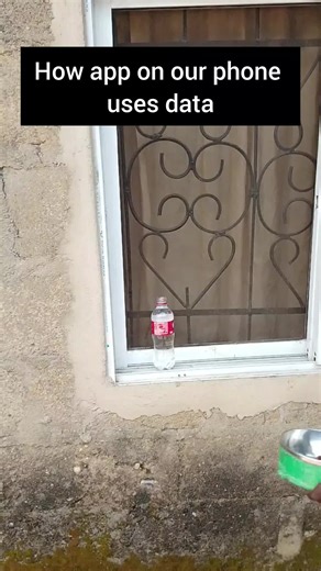 Understanding TikTok's Data Usage and Tips