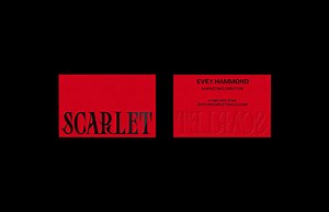 Scarlet Nails - Brand Identity, Packaging - Stacy Saturday