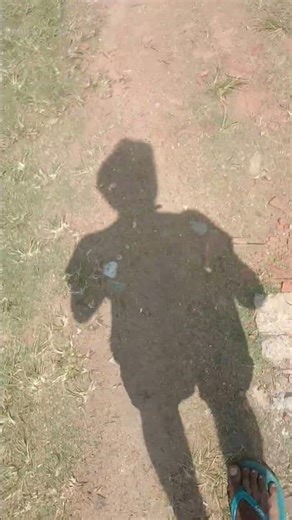 My POV: A Day's Journey Through Sri Lankan Ethical Dilemmas