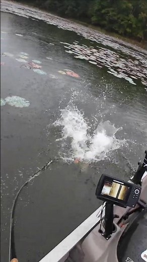 This Musky Bait Is UNREAL — Watch It Trigger a Monster Strike!