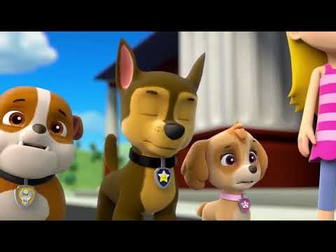 Pups Save a Hoot-clip5