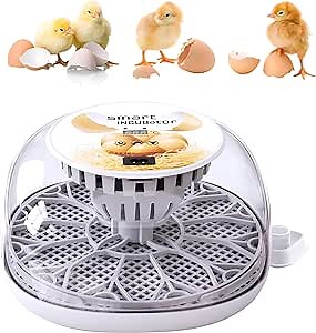 Incubators for Hatching Eggs, 12 Eggs Incubator with Automatic Turner and Temperature Control Display Hatcher Machine, Small Poultry Incubator for Hatching Chicken Quail Duck Bird Eggs