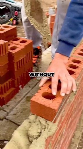 171K views · 4.4K reactions | Get The Mike Mentzer High Intensity Training Program From Down Comments. #HighIntensityTraining #LowVolumeHighIntensity #Overtraining #LessIsMore #SmartTraining #BodybuildingTips #EfficientTraining | Mike Mentzer | Facebook