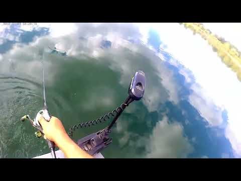 Blackwell forest preserve: Big Pike with Capt. Chunk
