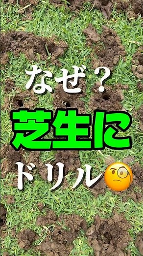 Why Use a Drill on Your Lawn? The Ultimate Solution for Poor Soil
