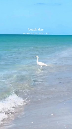 🌊 🎥@beechbumblvd | Englewood Beach
