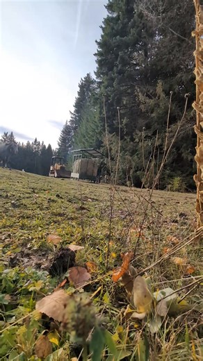 Testing the spears!!! #spideriron #metalart #fabrication #fyp #cnc #cncplasmacutting #welding #creativity #waiteandsee #custom #farmlifebalance | Spider Iron | Facebook