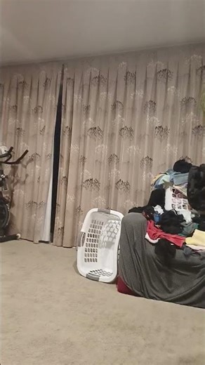 don't click the sound🦧🦧