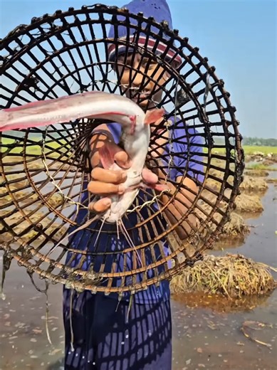 #fishing #fishingtiktoks #viral #fishinglife #foryoupagе