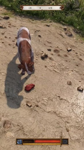 Мистика в Kingdom Come Deliverance II: Часть 3