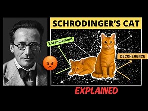 Schrödinger Hated His Own Cat Thought Experiment
