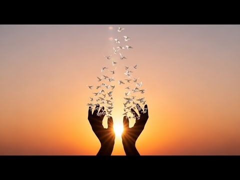 Too Much Pain (Part 2) | African Roots Reggae | Pain, Loss & Regret