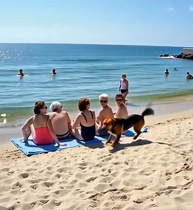 Soudain, un chien au pelage ébouriffé apparut et se mit à tourner autour d’elles, aboyant nerveusement. Elles pensèrent d’abord qu’il avait faim et lui offrirent des biscuits, mais il les ignora complètement. Son agitation grandissait, comme s’il essayait de leur transmettre quelque chose d’urgent. L’une d’elles, en l’observant attentivement, pâlit soudain : « Les filles… regardez son pelage ! » 😱 Plus de détails dans les commentaires👇 | Le Style Media