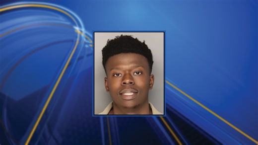 Colleton County sheriff’s arrest 24-year-old for murder and attempted murder charges