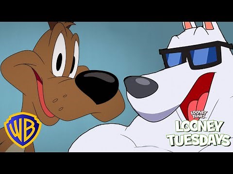 DOG-gone Looney Tunes! | Looney Tuesdays | #kidscartoons ‪@wbkids‬