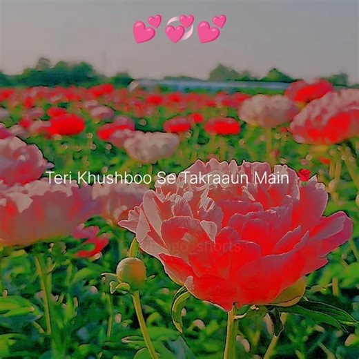 Kahin Kisi Bhi Gali Mein Jaaun Main 💞💕 |Tere Sang Yaara | #lyrical #status #shorts #asethetic