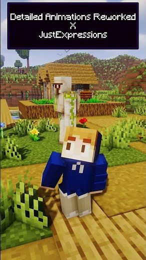 Minecraft Animation Resource Pack #minecraft #resourcepacks