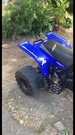 Yamaha Banshee 350 on TikTok