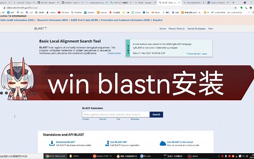 生信基础软件安装-win下安装blast blastn 环境变量