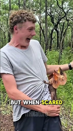 Don’t Scare This Lizard It Might Chase You!