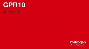 GPR10 antibodies from Thermo Fisher Scientific