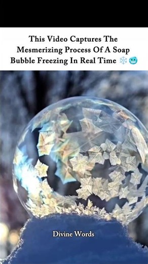 Nature’s Most Satisfying Freeze Ever Captured 🧊✨ #naturebeauty #snowfall #magic #satisfyingvideo