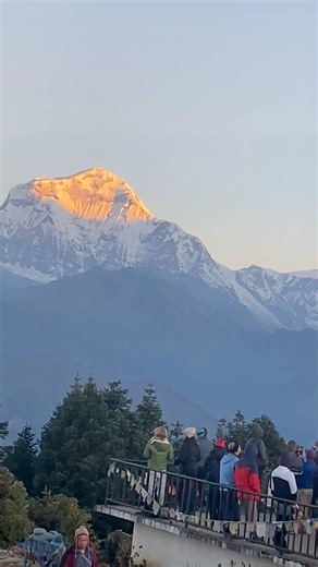 The beautiful Mt. Dhaulagiri (8,167 m), Mt. Annapurna I (8,091 m), and other majestic Himalayan ranges were clearly seen from Poon Hill Viewpoint (3,210 m) in Ghorepani, Myagdi, Nepal. Renowned for its stunning sunrise and panoramic mountain scenery, Poon Hill offers breathtaking views of Mt. Dhaulagiri, Mt. Annapurna I, Mt. Machapuchare (6,993 m), Mt. Hiunchuli (6,441 m), and many more Himalayan peaks. As the morning sun illuminated the snowy summits, the mountains glowed in golden hues, creati