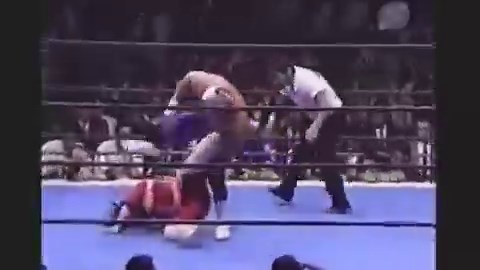 Pegasus Kid vs. Jushin Thunder Liger.