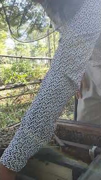 Harvesting Bee pollen in Seconds 🐝🍯 #Shorts Fresh Honey Bee Pollen🍯✨ #HoneyHarvest Bee Pollen