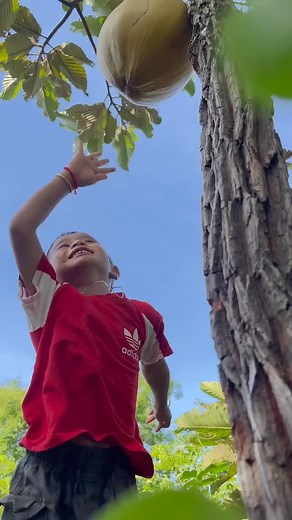 Survival SkillsSIMPLE and USEFUL in forest #bushcraft #lifehacks #survival #ideas #camping | Sotheary Den