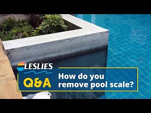 Q&A: How Do You Remove Pool Scale? | Leslie's