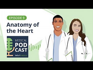 Breaking Down the Four Chambers of the Heart | Lecturio Podcast EP. 9 🩺