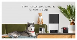 Petcube Camera Support - How-to Videos