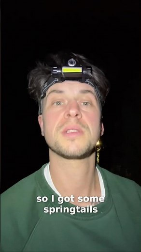 Catching wild springtails in my garden… Easy Hack! #terrarium