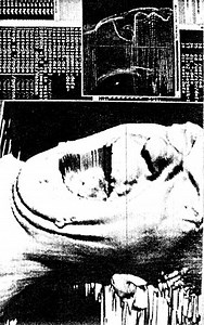 In Absentia - Involution