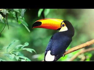 HP ProDisplay 201 Desktop Computer