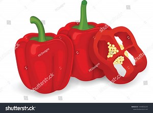 Red Capsicum Pepper Bell Pepper Vector Stock Vector (Royalty Free) 1444856243 | Shutterstock