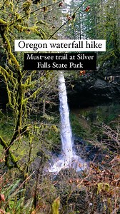 SOOO many waterfalls on this hike ✨🧡 Silver Falls State Park is famous for its beautiful waterfalls! This trail is one of the best waterfall hikes in Oregon with over 10 falls along the trail! Some are over 200 feet tall! I loved walking behind a few of them, but prepared to get soaked! 💦 🧡 FOLLOW @gwynandami for more Pacific Northwest travel inspiration! ✨ Trail: Trail of 10 Falls 📍 Location: Silver Falls State Park 📏 Distance: 7.4 miles 🏔️ Elevation gain: 1,181 feet Here are few tips for