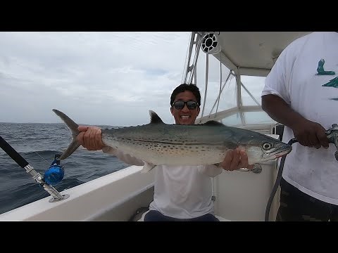 Fishing in the British Virgin Islands: Cero Mackerel, Blue Runner, Barracuda