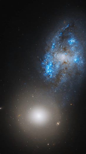 Hubble Space Telescope on Instagram: "NGC 274 🤝 NGC 275 These two galaxies come together to form an interacting pair called Arp 140. The pair is made up of two very different galaxy types: the sparkling blue galaxy (NGC 275) is a barred spiral galaxy, which has a bar of stars that runs through the central bulge of the galaxy. The other galaxy (NGC 274) is classified as a lenticular. This galactic type gets its name from the edge-on appearance that resembles a disk. Lenticular galaxies ha