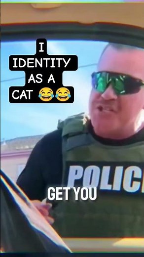 When You Try to Identify as a Cat During a Traffic Stop 🐱🚔