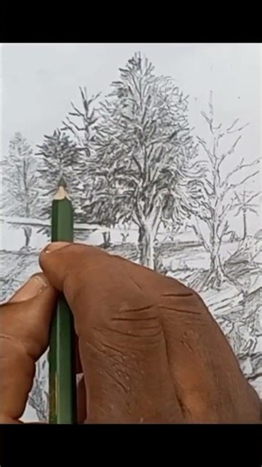 Perspective Drawing And Shading Trick | Pencil Trees That Look Real#Shorts