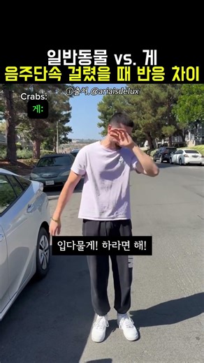 일반동물vs.게 음주단속 걸렸을 때 차이